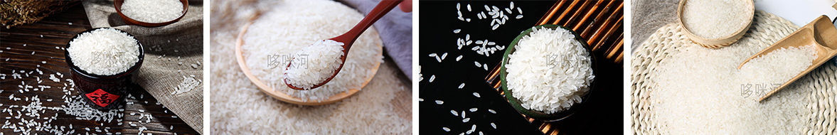 1556183596645293.jpg 未标题-1.jpg